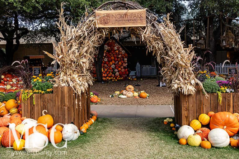 Kids With Jars Of Coins Returned To NorthPark’s Pumpkin Patch For 2025 Change Is Good