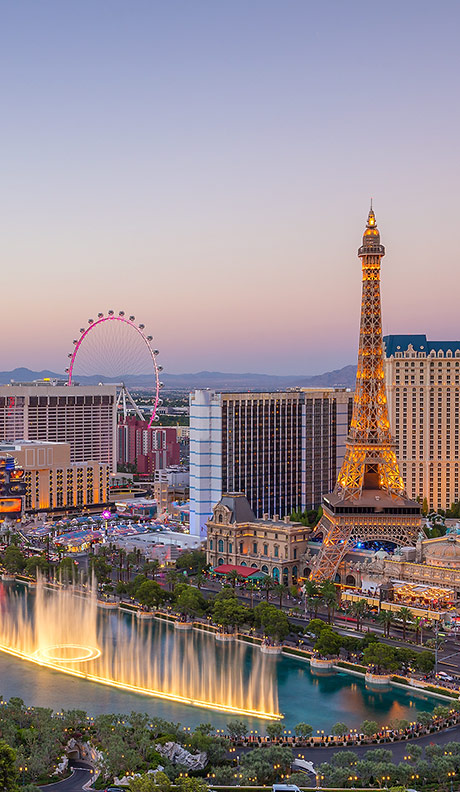 “Vegas Is My Favorite Week”