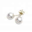 Yellow 18 Karat Stud Earrings With 2=6.00-6.50Mm Round Pearls Style Name: A+ Quality