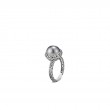Classic Chain Ring in Silver with Tahitian Pearl