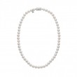 Mikimoto 18k white gold rhodium plated Everyday Essentials pearl strand princess necklace, 8x7.5mm/A akoya pearls, 18