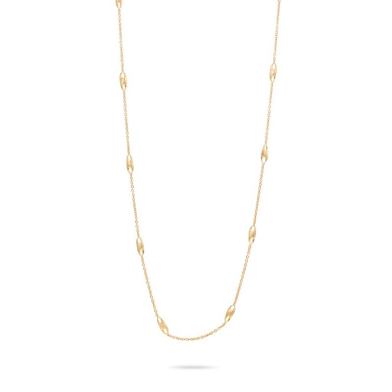 Lucia Long Link Necklace