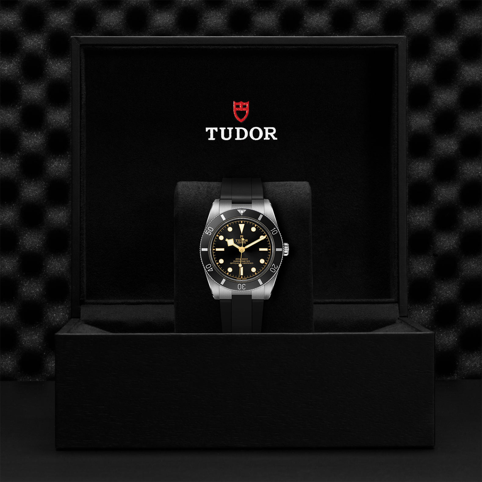 TUDOR Black Bay 54 Watch - M79000N-0002 at Bachendorf's Jewelers