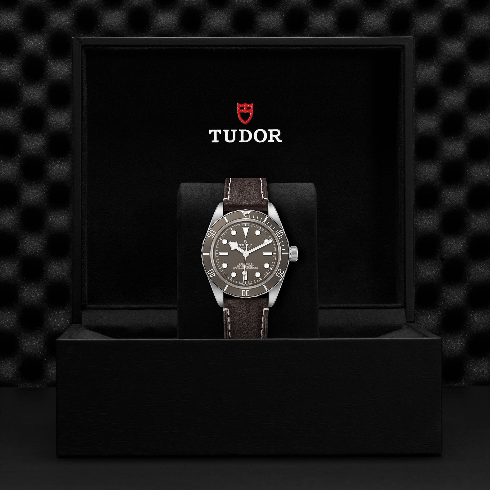 TUDOR Black Bay 58 Watch - M79010SG-0001 at Bachendorf's Jewelers