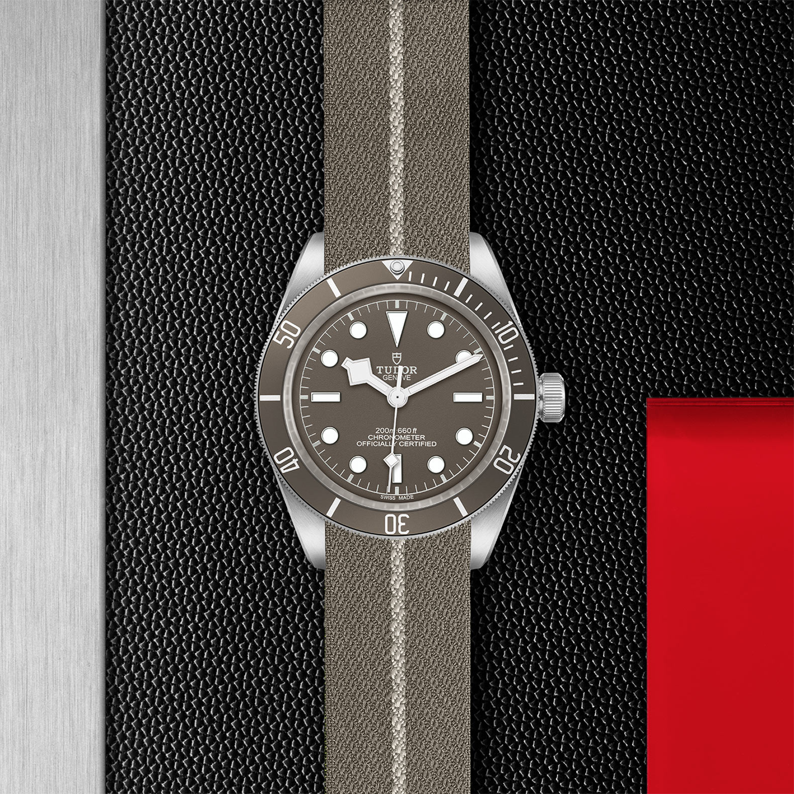 TUDOR Black Bay 58 Watch - M79010SG-0002 at Bachendorf's Jewelers