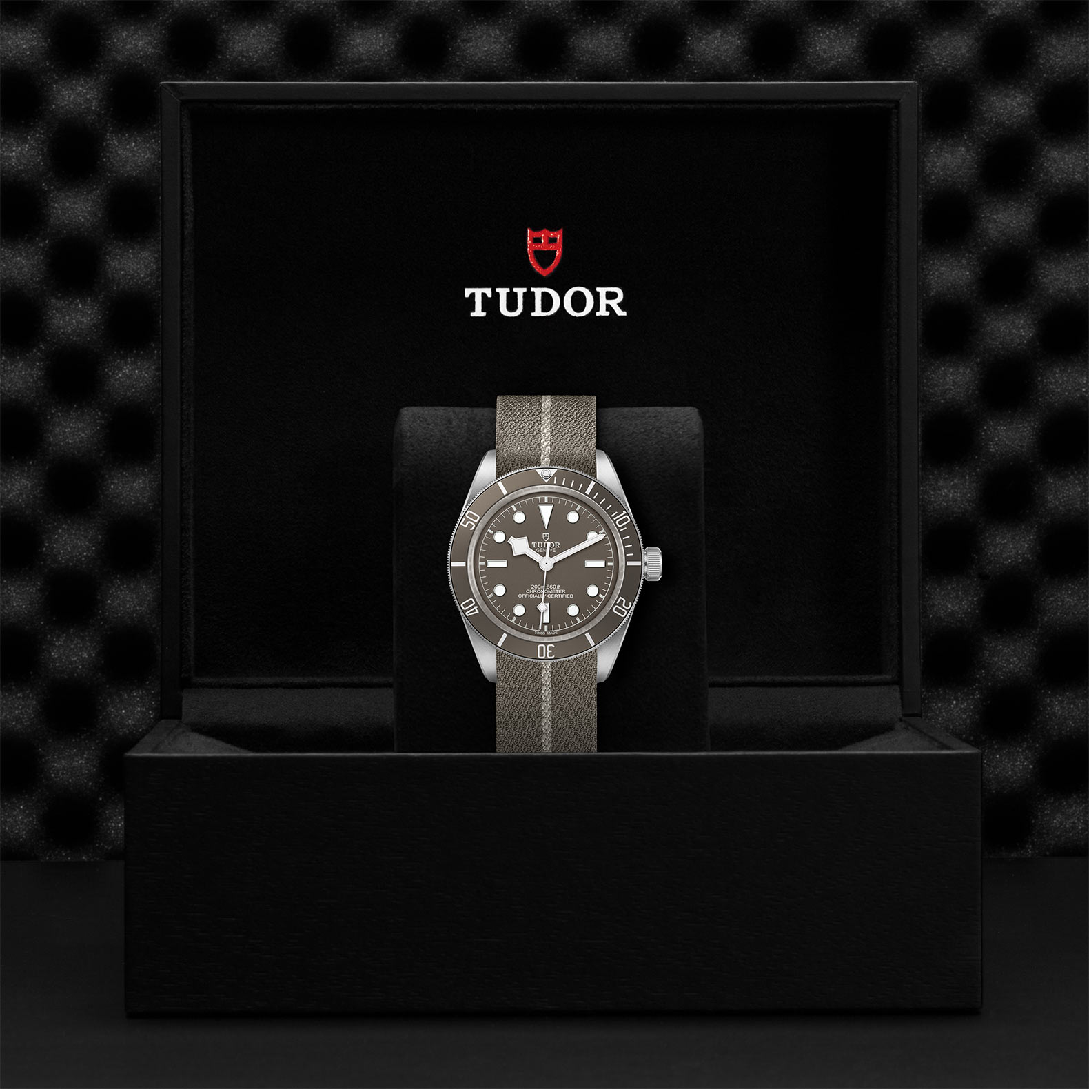 TUDOR Black Bay 58 Watch - M79010SG-0002 at Bachendorf's Jewelers