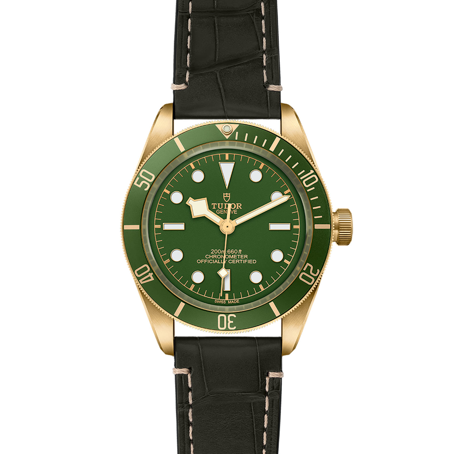 TUDOR Black Bay 58 Watch - M79018V-0001 at Bachendorf's Jewelers