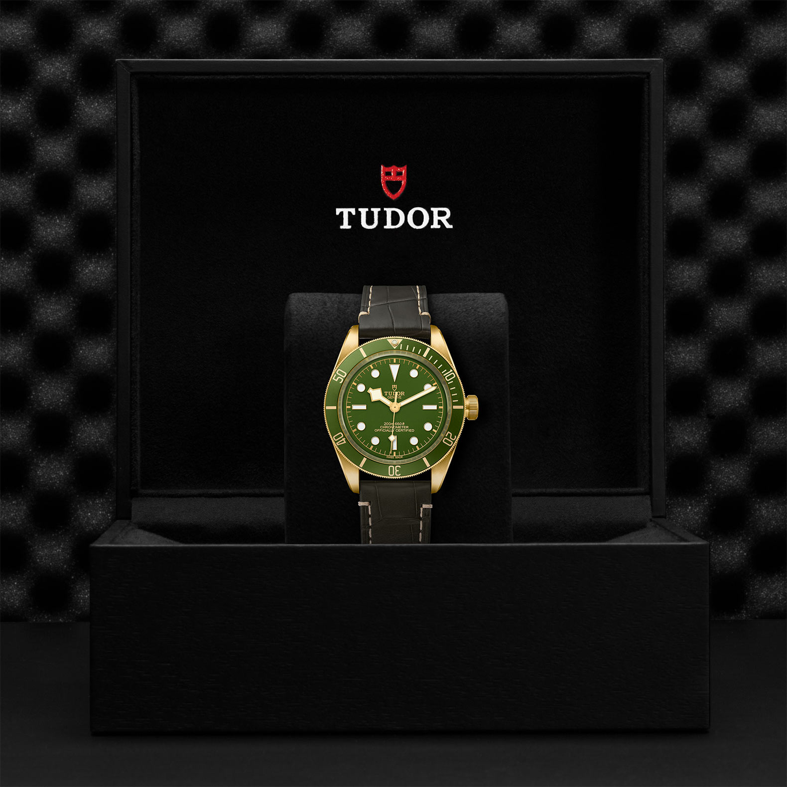 TUDOR Black Bay 58 Watch - M79018V-0001 at Bachendorf's Jewelers