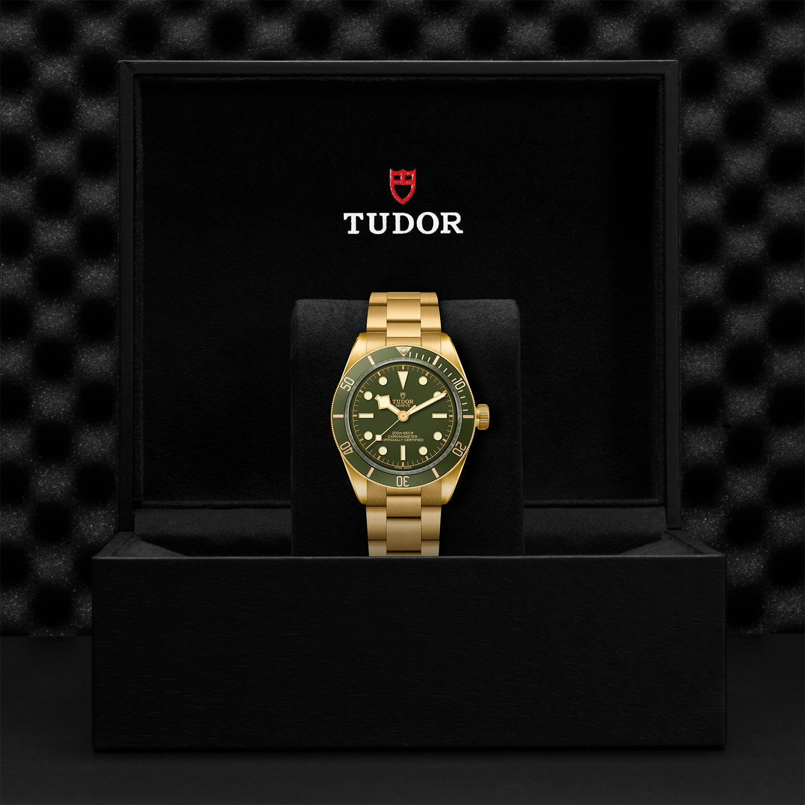 TUDOR Black Bay 58 Watch - M79018V-0006 at Bachendorf's Jewelers