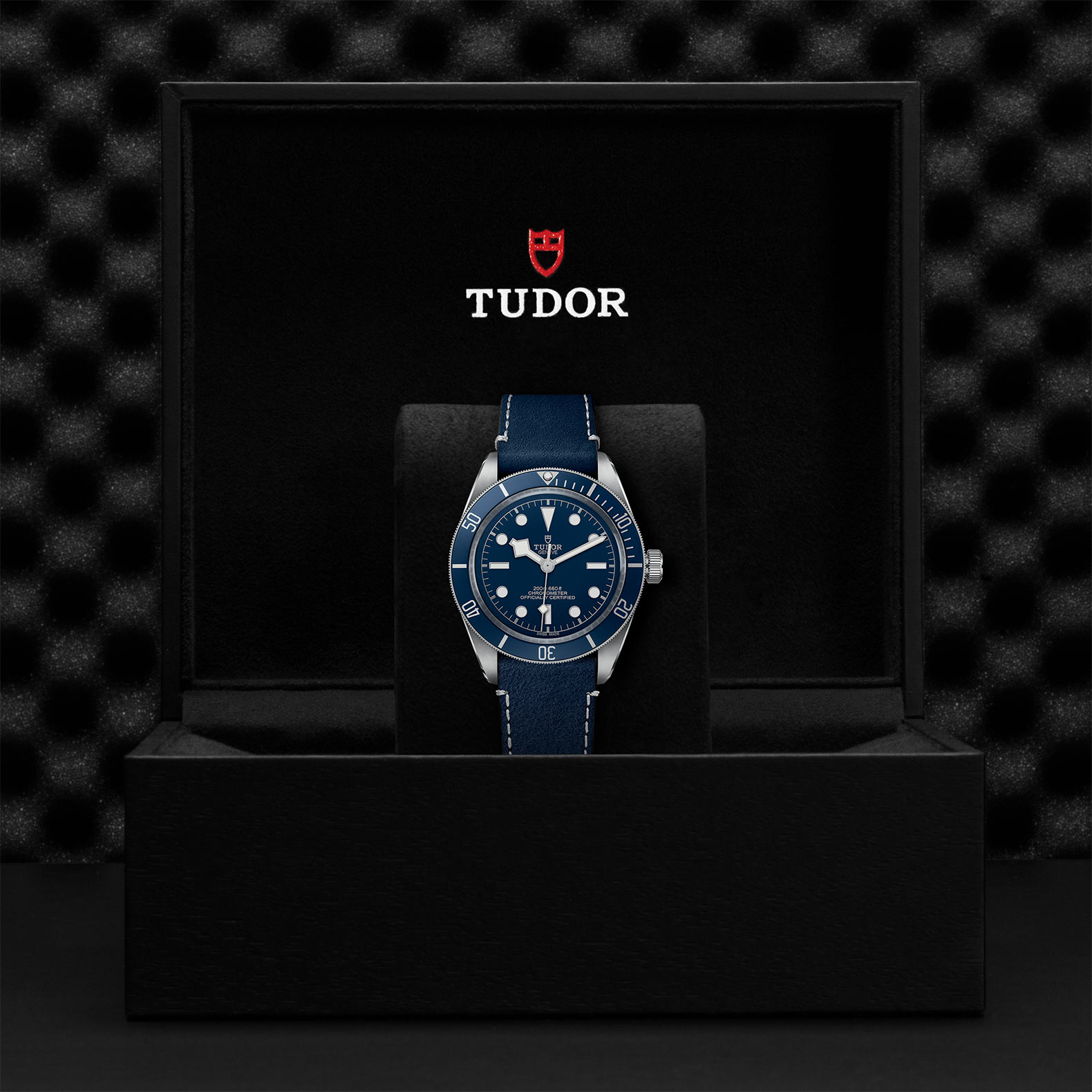 TUDOR Black Bay 58 Watch - M79030B-0002 at Bachendorf's Jewelers