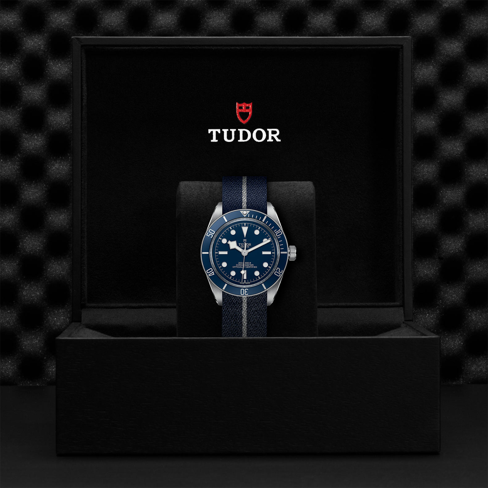 TUDOR Black Bay 58 Watch - M79030B-0003 at Bachendorf's Jewelers