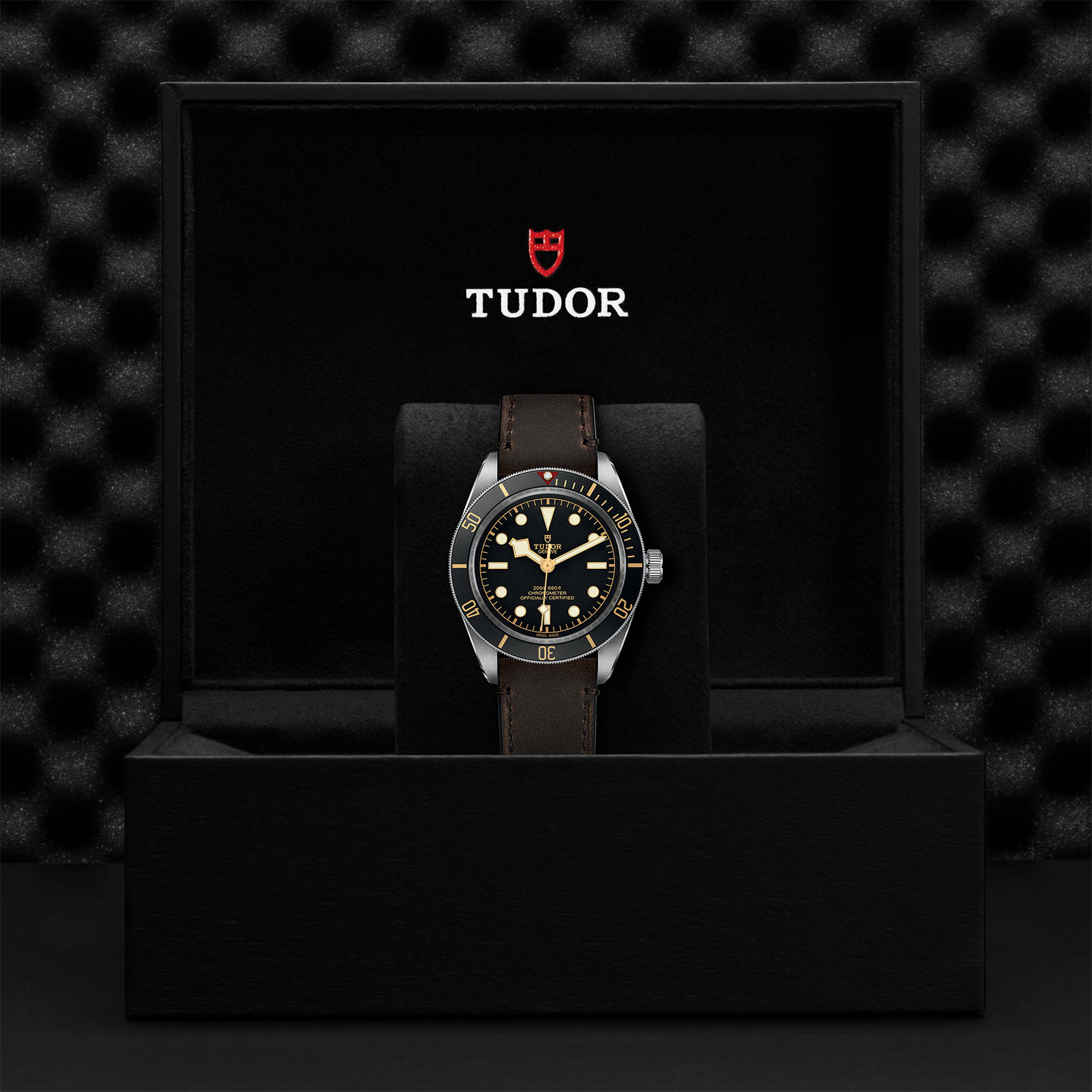 TUDOR Black Bay 58 Watch - M79030N-0002 at Bachendorf's Jewelers