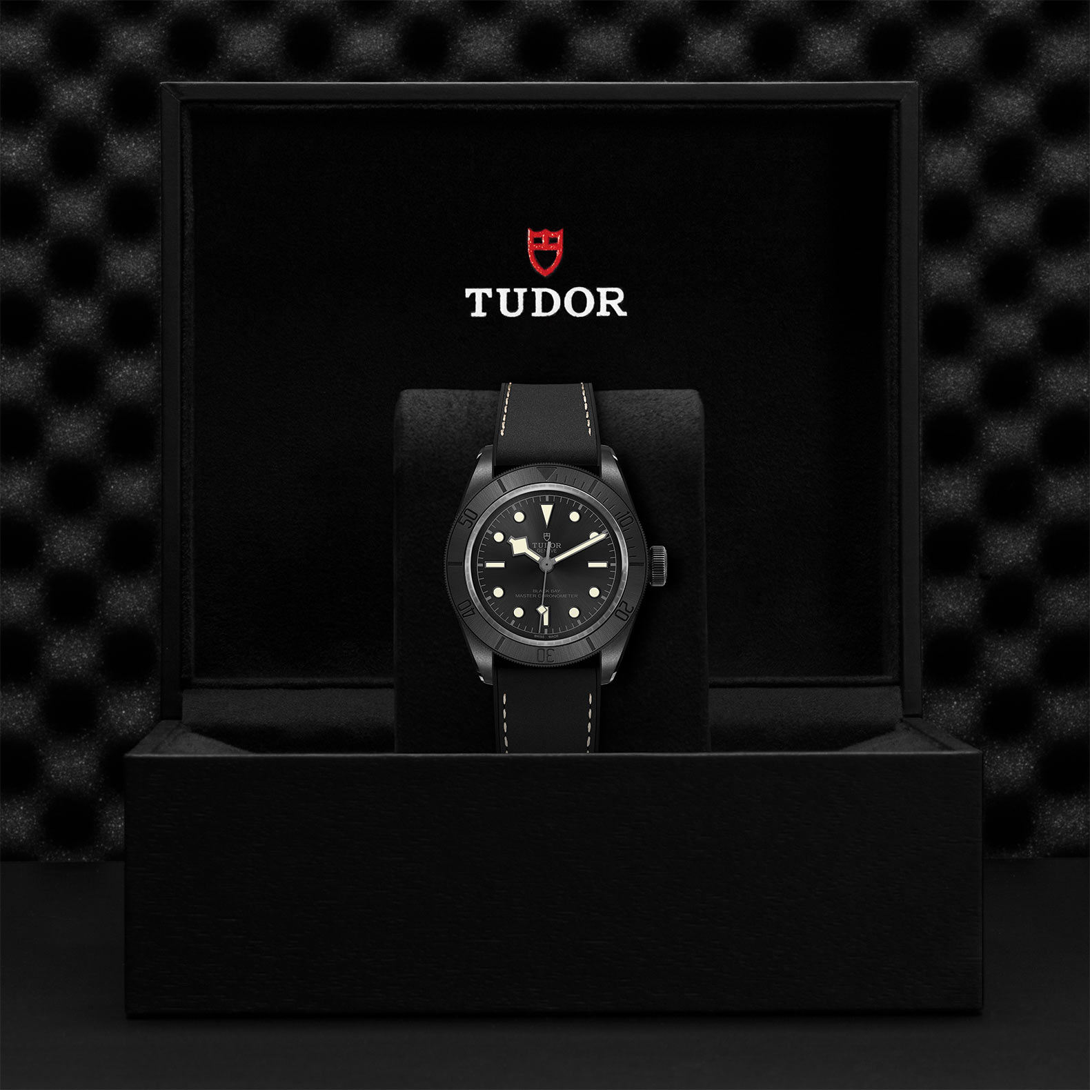 TUDOR Black Bay Watch - M79210CNU-0001 at Bachendorf's Jewelers