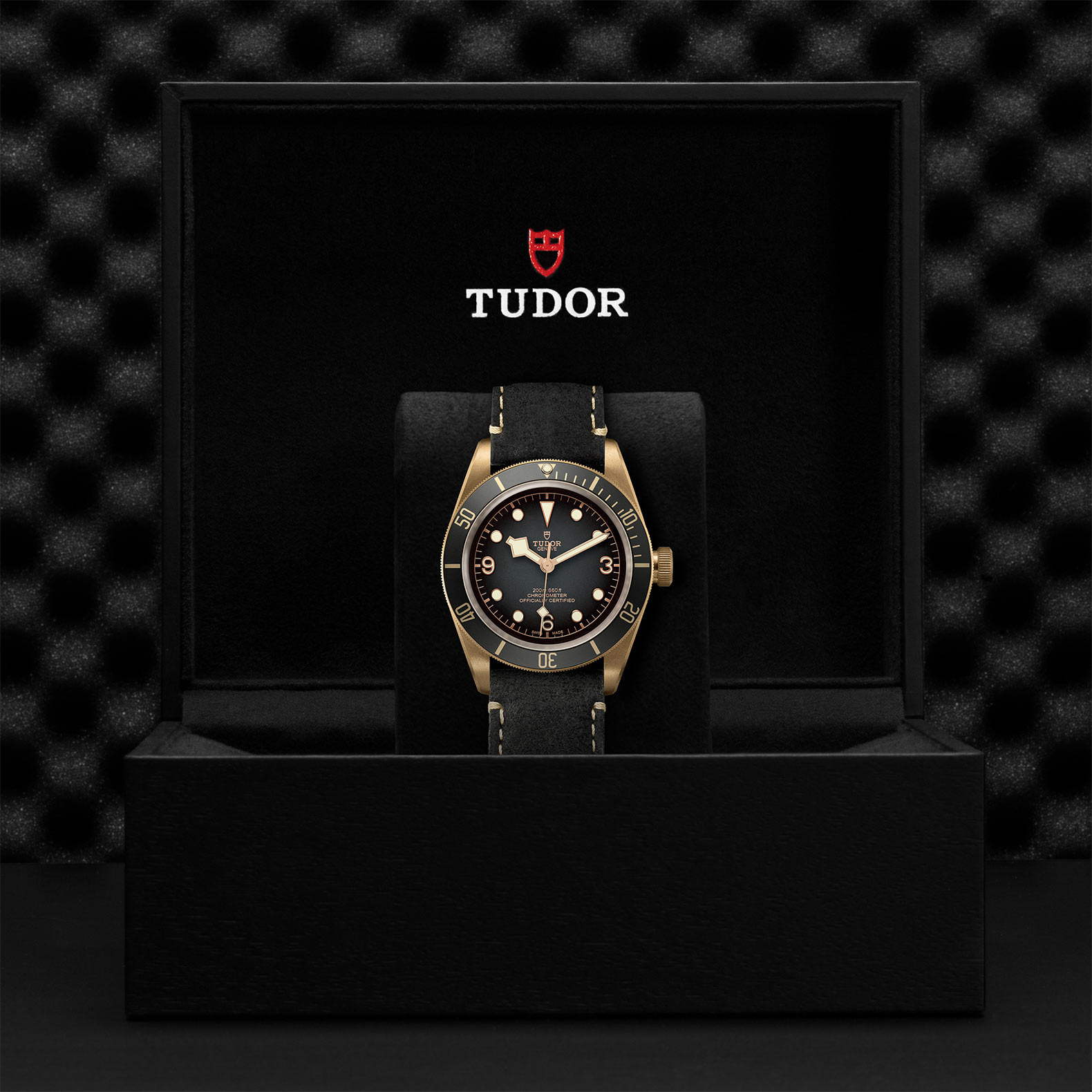 TUDOR Black Bay Bronze Watch - M79250BA-0001 at Bachendorf's Jewelers