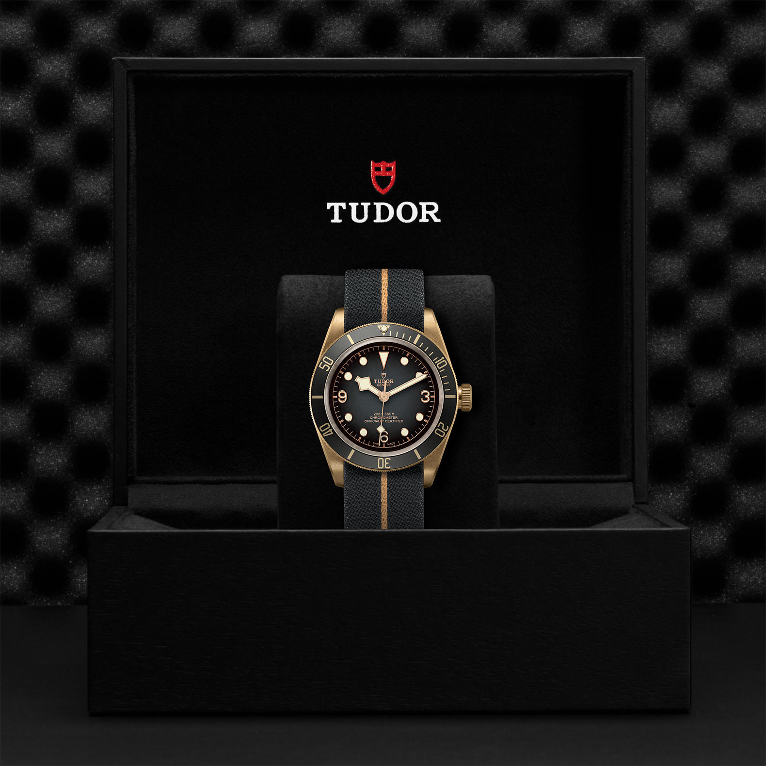 TUDOR Black Bay Bronze Watch - M79250BA-0002 at Bachendorf's Jewelers