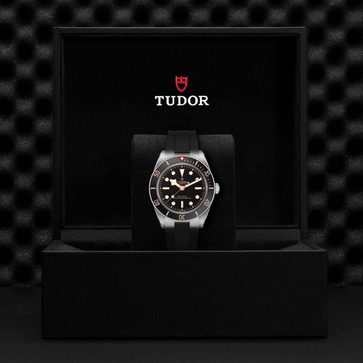 TUDOR Black Bay 58 Watch - M7939A1A0NU-0003 at Bachendorf's Jewelers