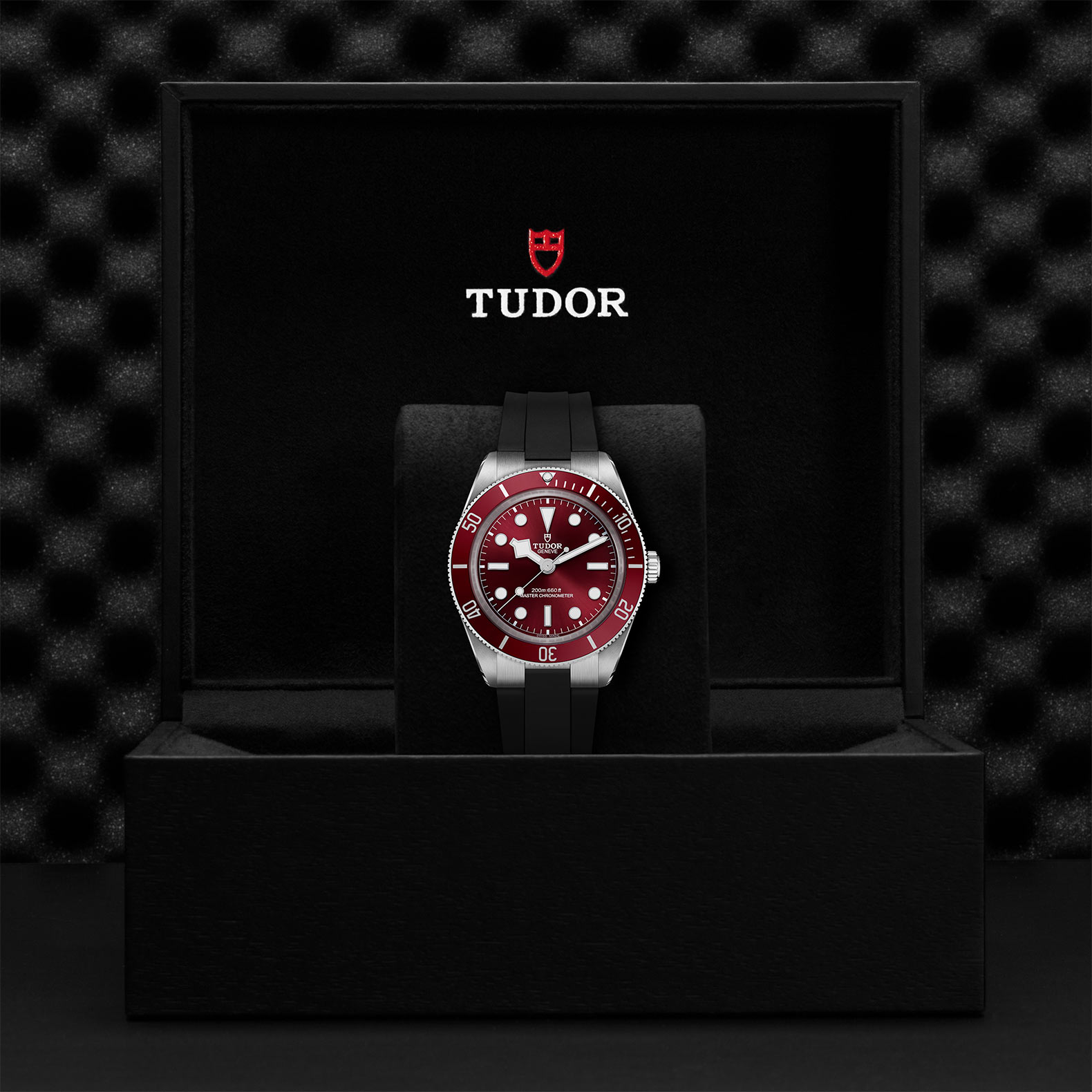 TUDOR Black Bay 58 Watch - M7939A1A0RU-0003 at Bachendorf's Jewelers