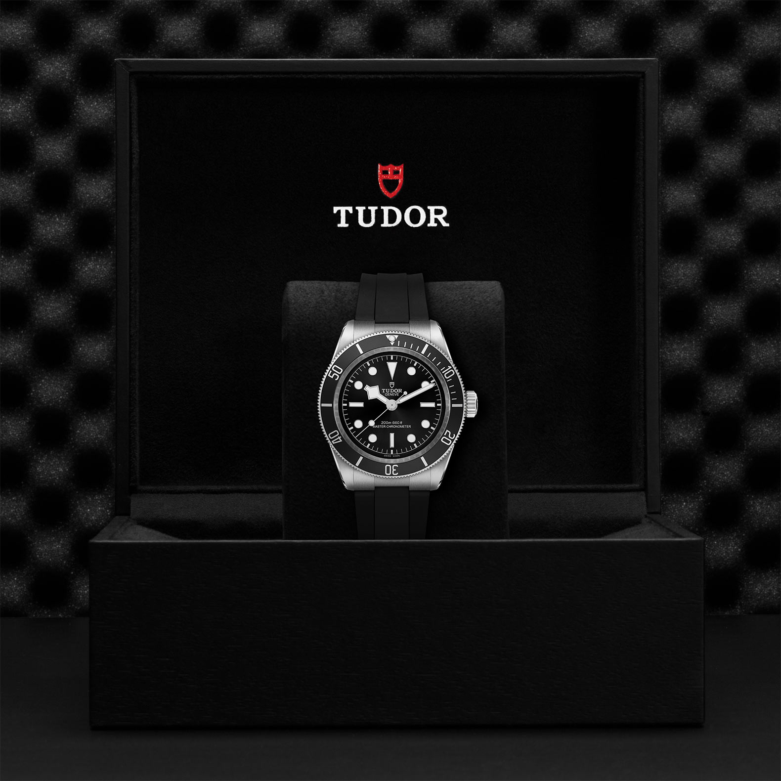 TUDOR Black Bay Watch - M7941A1A0NU-0002 at Bachendorf's Jewelers