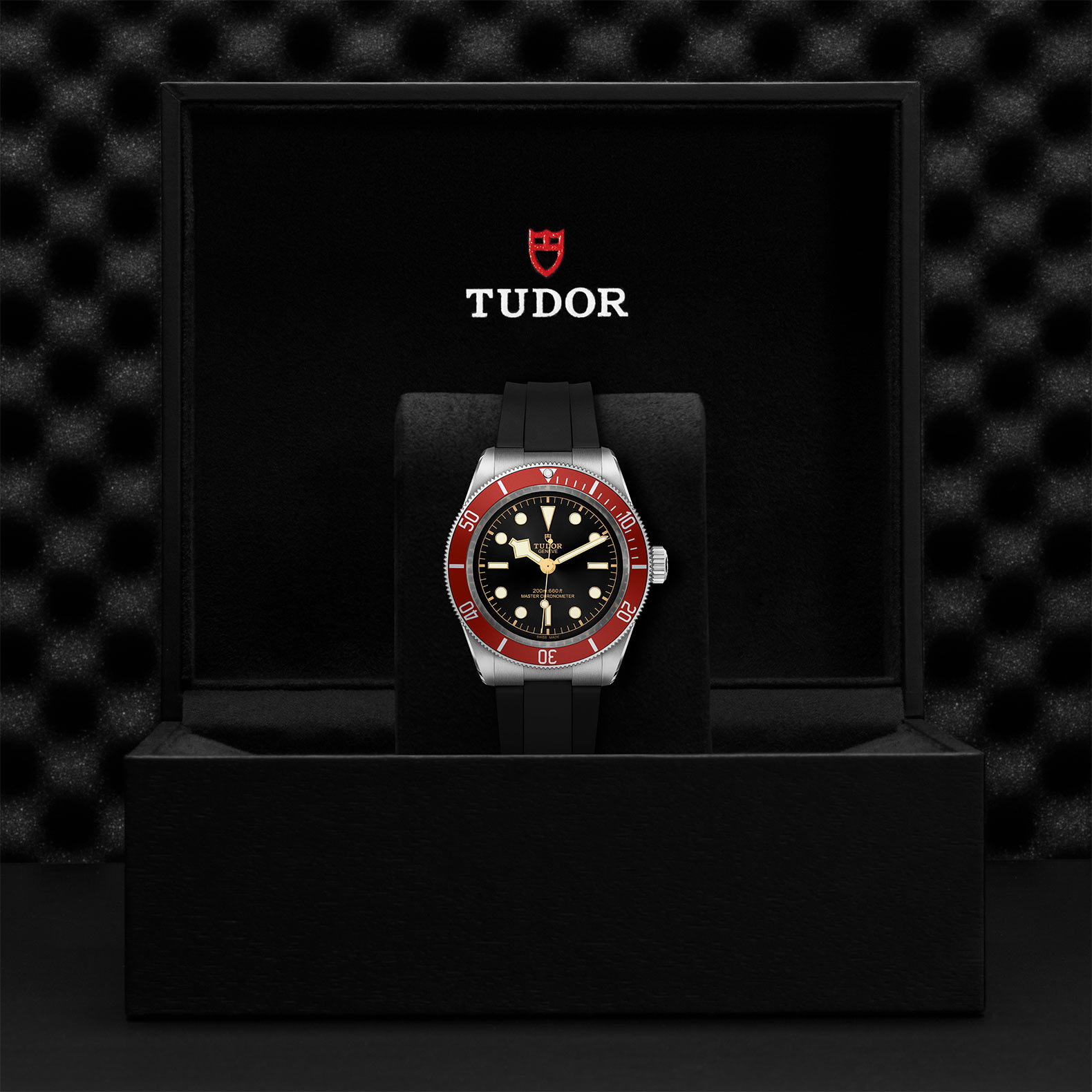 TUDOR Black Bay Watch - M7941A1A0RU-0002 at Bachendorf's Jewelers