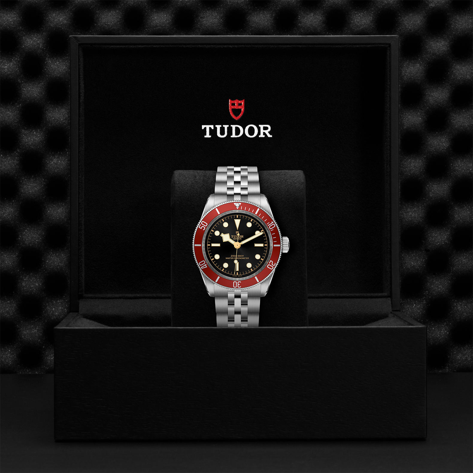 TUDOR Black Bay Watch - M7941A1A0RU-0003 at Bachendorf's Jewelers
