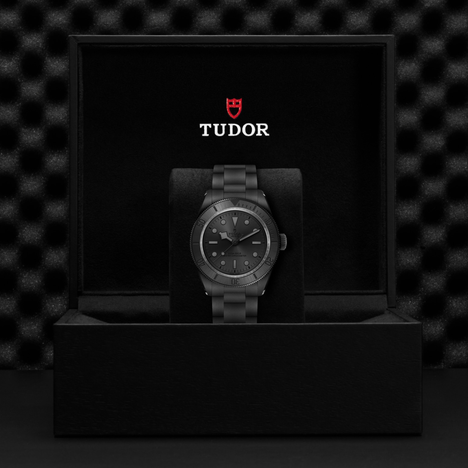 TUDOR Black Bay Watch - M7941A1ACNU-0001 at Bachendorf's Jewelers