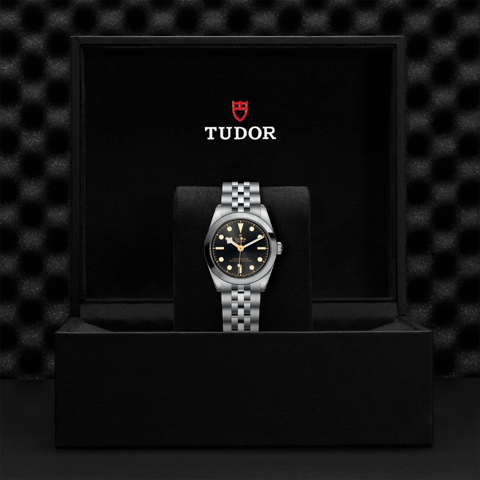 TUDOR Black Bay 31/36/39/41 Watch - M79600-0001 at Bachendorf's Jewelers