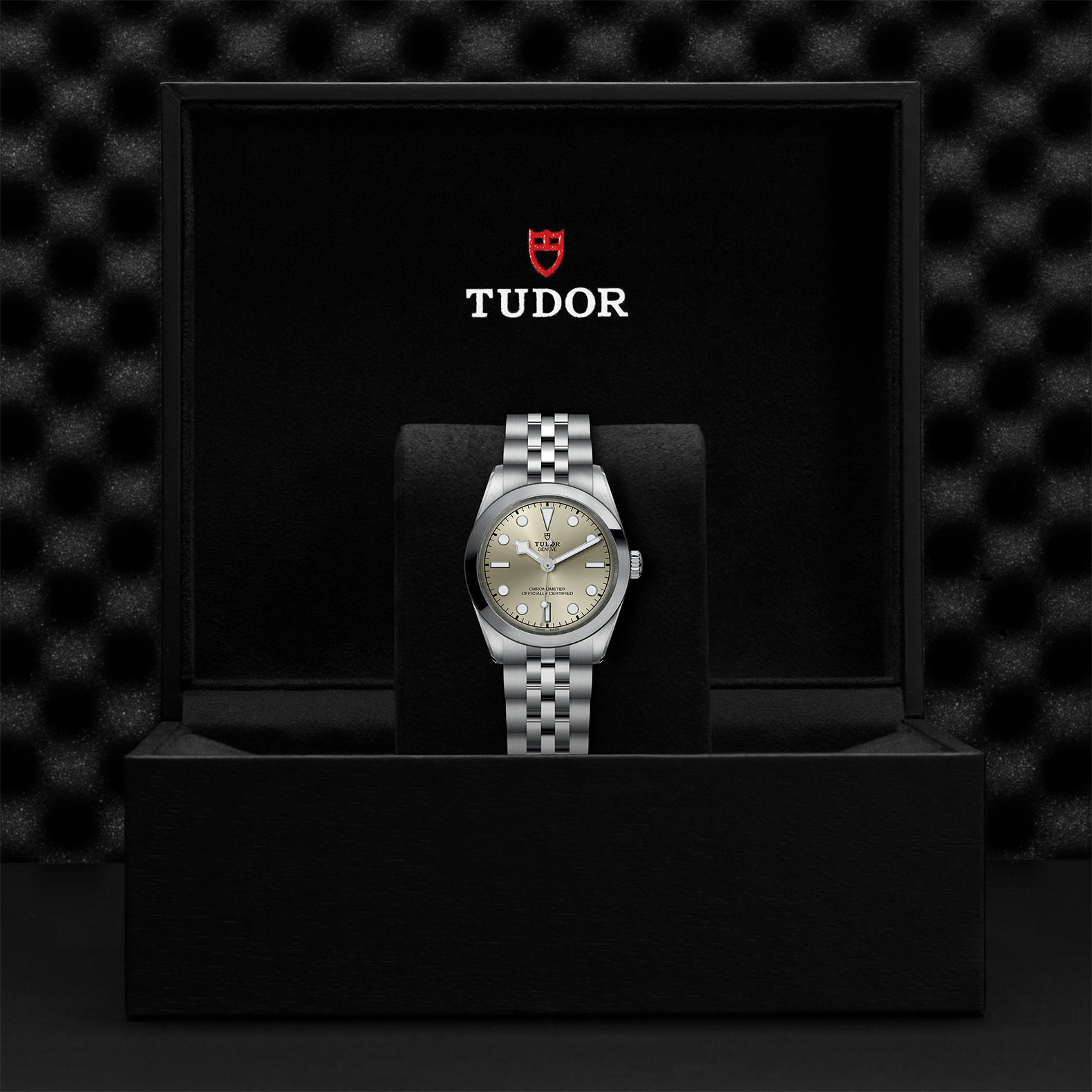 TUDOR Black Bay 31/36/39/41 Watch - M79600-0003 at Bachendorf's Jewelers