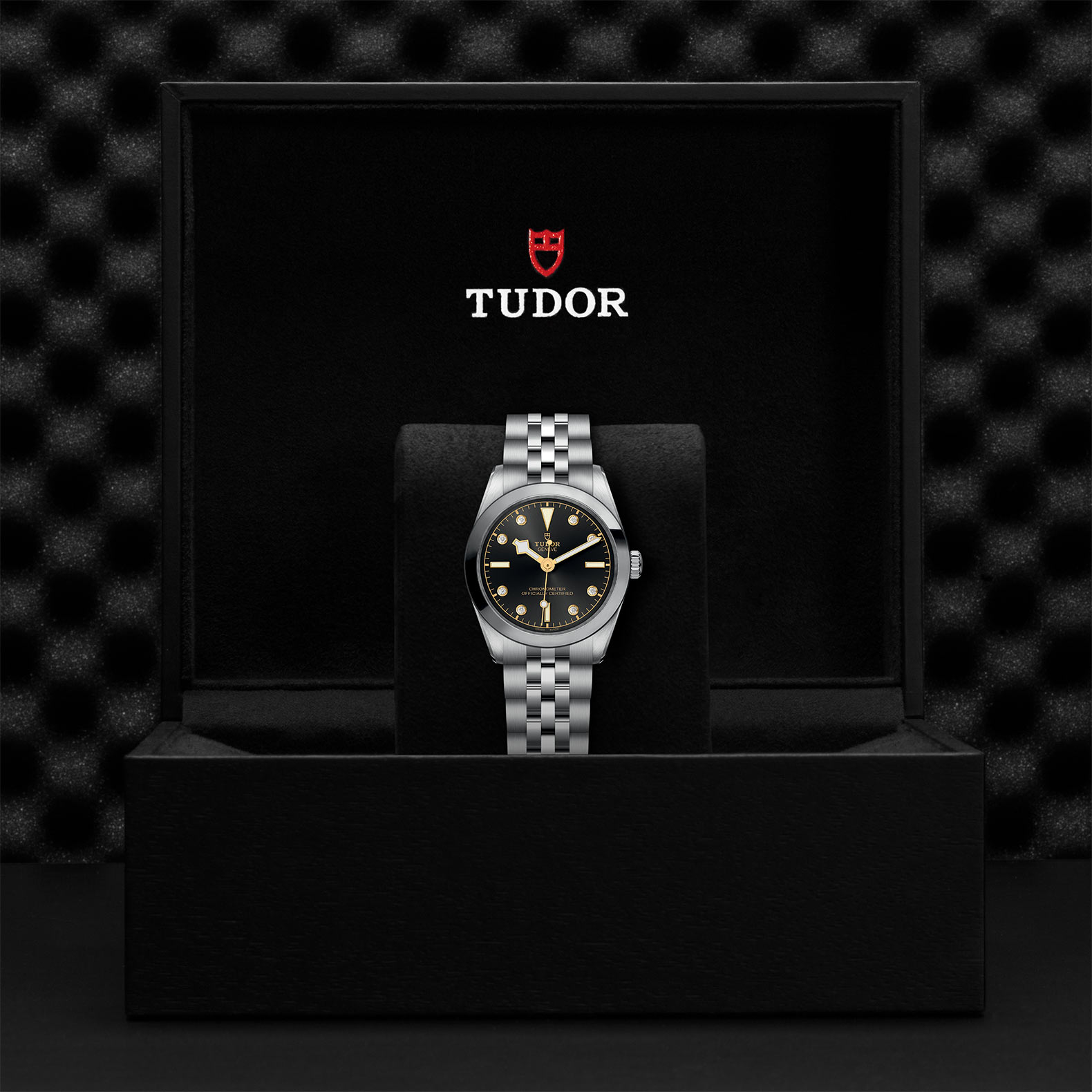 TUDOR Black Bay 31/36/39/41 Watch - M79600-0004 at Bachendorf's Jewelers