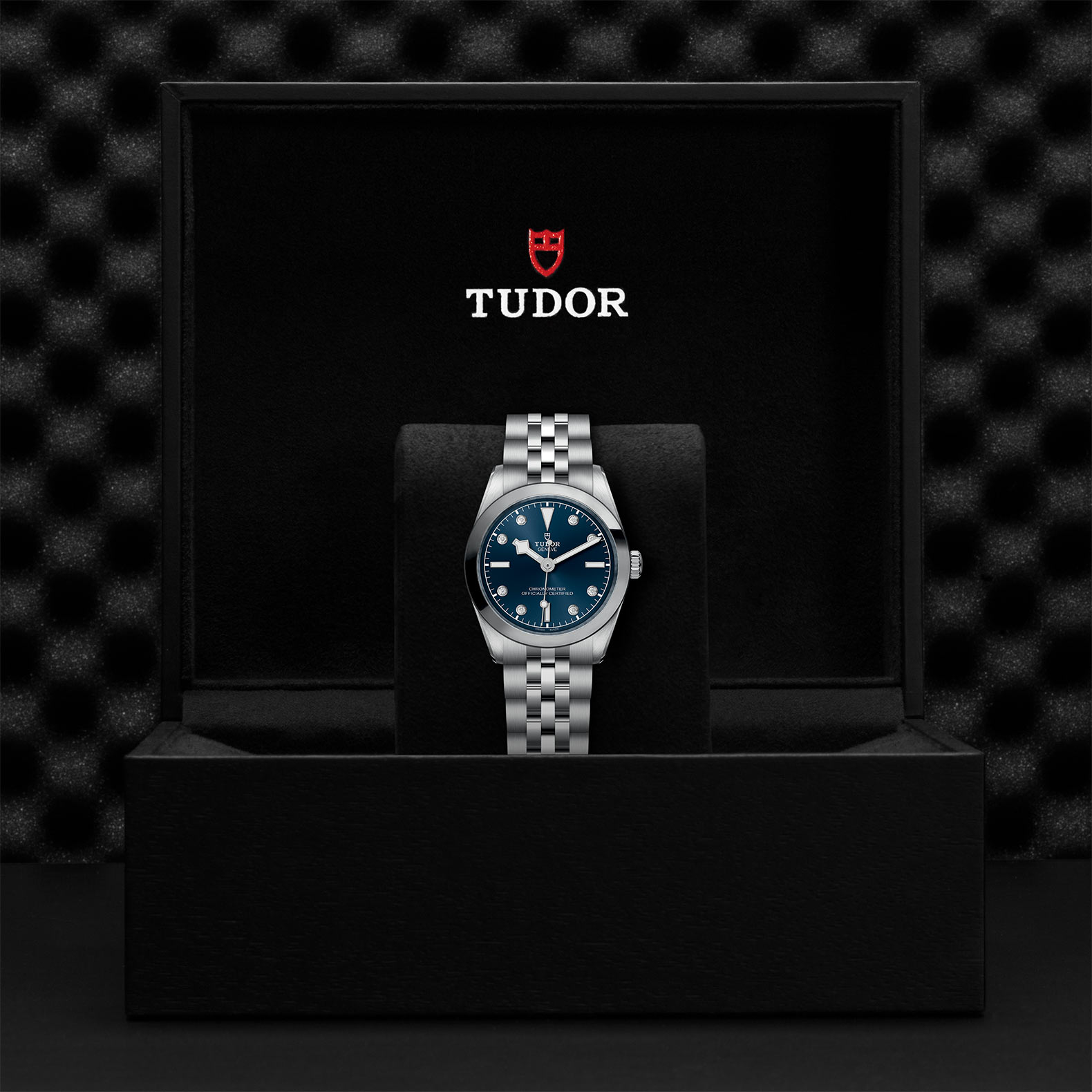 TUDOR Black Bay 31/36/39/41 Watch - M79600-0005 at Bachendorf's Jewelers