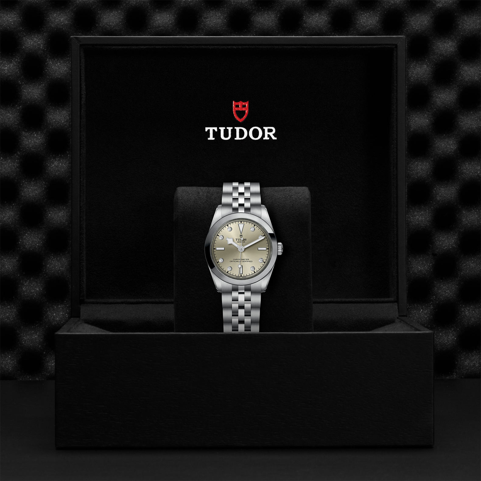 TUDOR Black Bay 31/36/39/41 Watch - M79600-0006 at Bachendorf's Jewelers