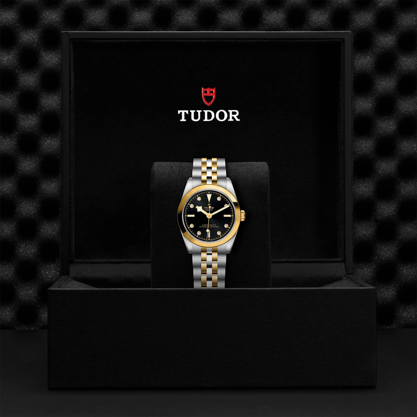 TUDOR Black Bay 31/36/39/41 S&G Watch - M79603-0006 at Bachendorf's Jewelers