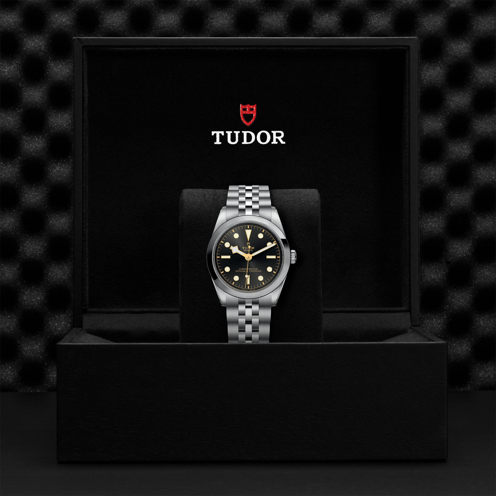 TUDOR Black Bay 31/36/39/41 Watch - M79640-0001 at Bachendorf's Jewelers