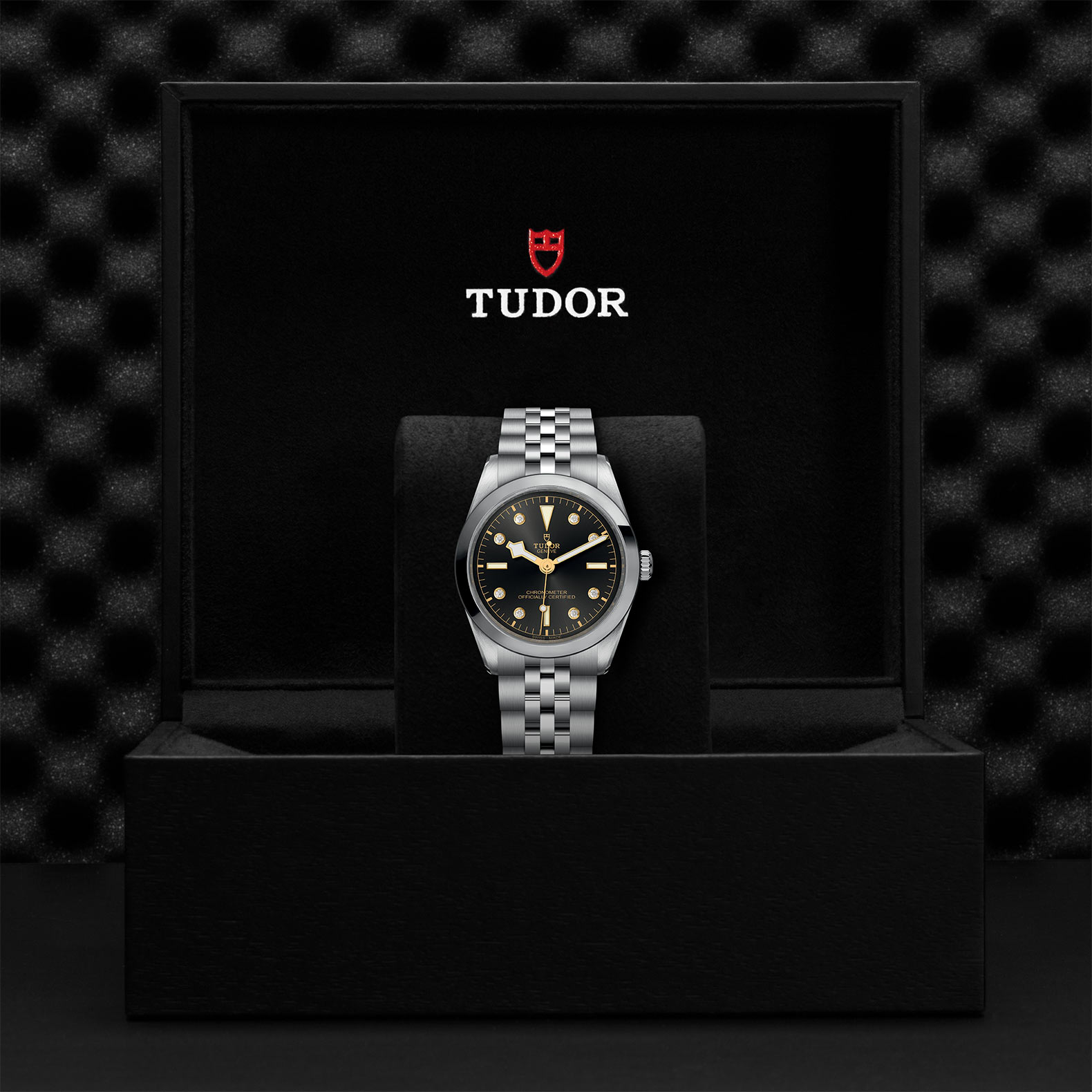 TUDOR Black Bay 31/36/39/41 Watch - M79640-0004 at Bachendorf's Jewelers