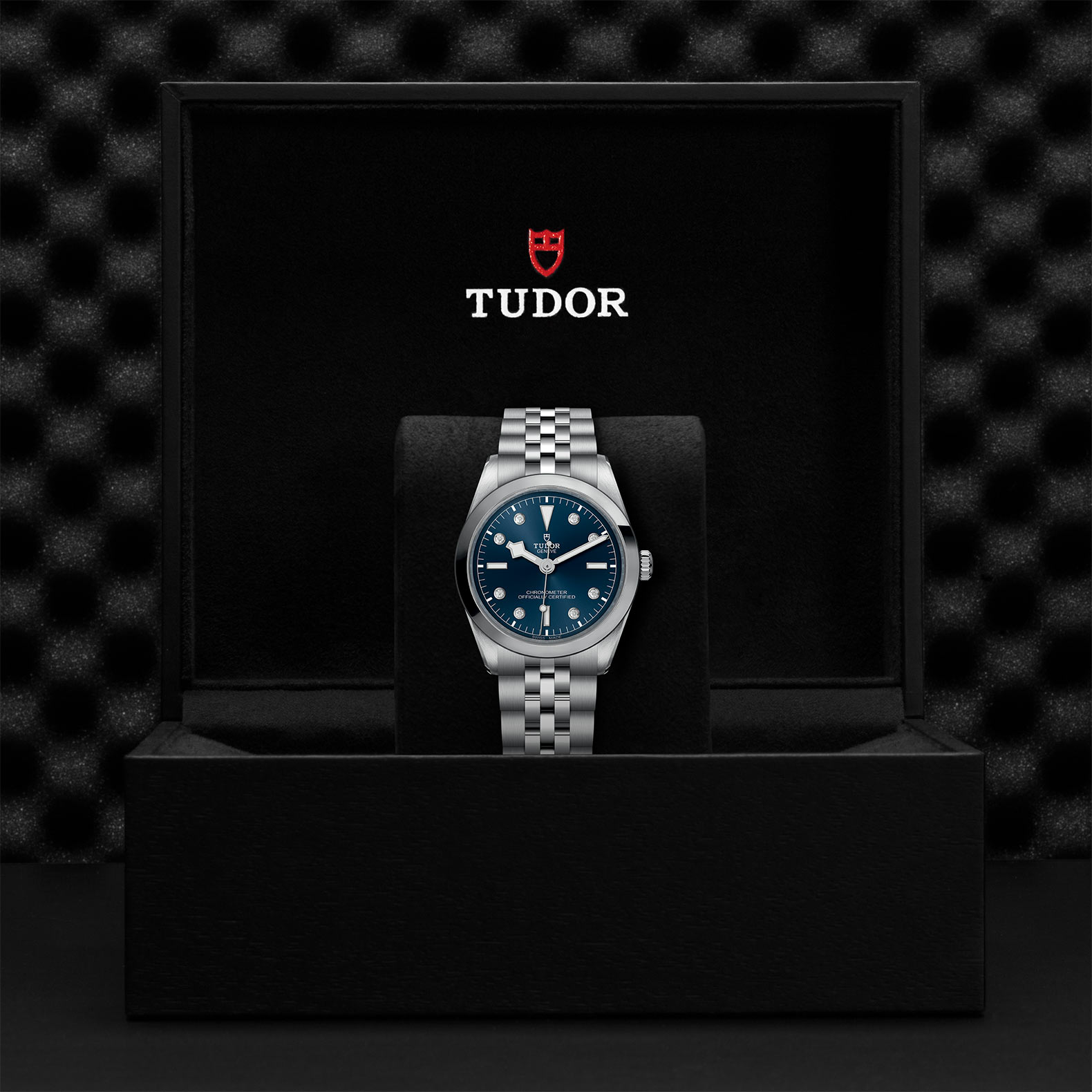 TUDOR Black Bay 31/36/39/41 Watch - M79640-0005 at Bachendorf's Jewelers