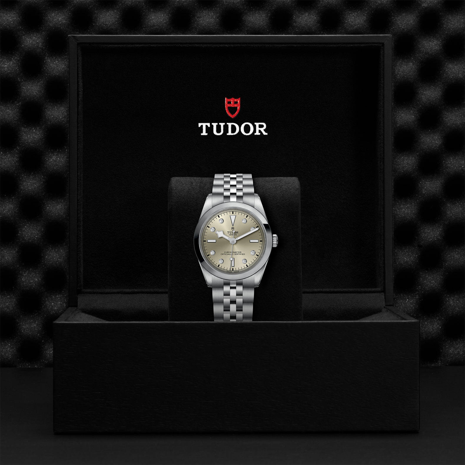 TUDOR Black Bay 31/36/39/41 Watch - M79640-0006 at Bachendorf's Jewelers