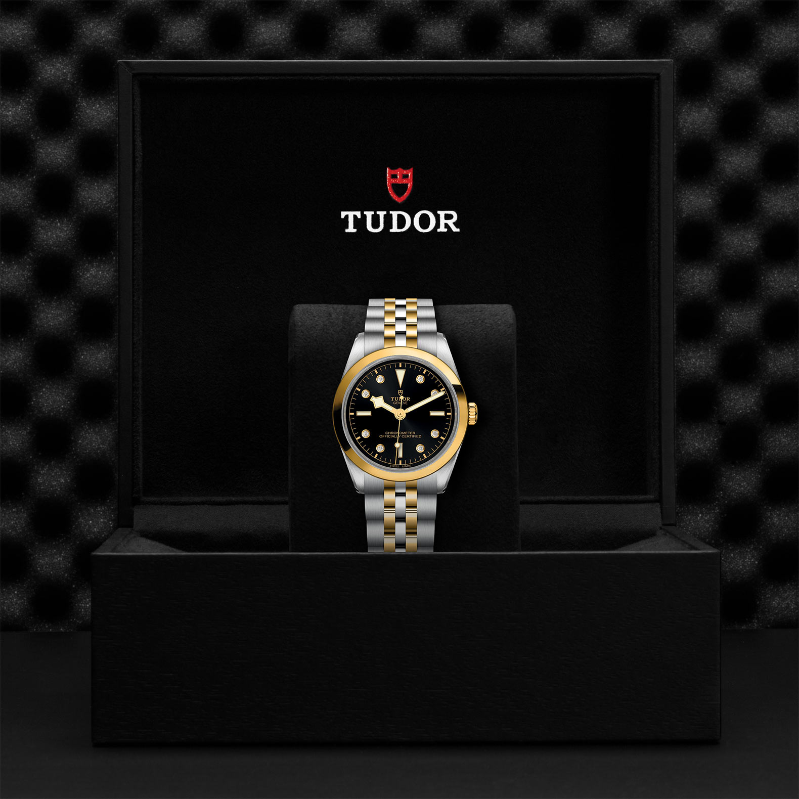 TUDOR Black Bay 31/36/39/41 S&G Watch - M79643-0006 at Bachendorf's Jewelers