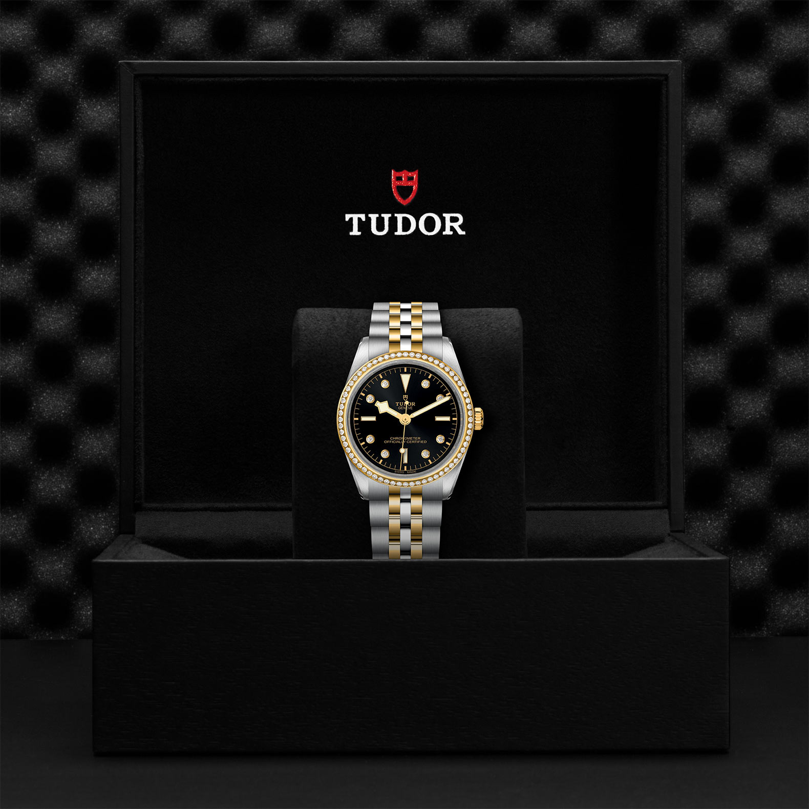 TUDOR Black Bay 31/36/39/41 S&G Watch - M79653-0005 at Bachendorf's Jewelers