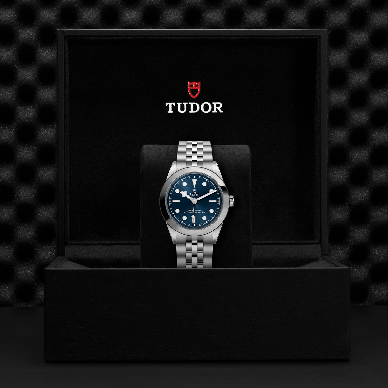 TUDOR Black Bay 31/36/39/41 Watch - M79660-0002 at Bachendorf's Jewelers