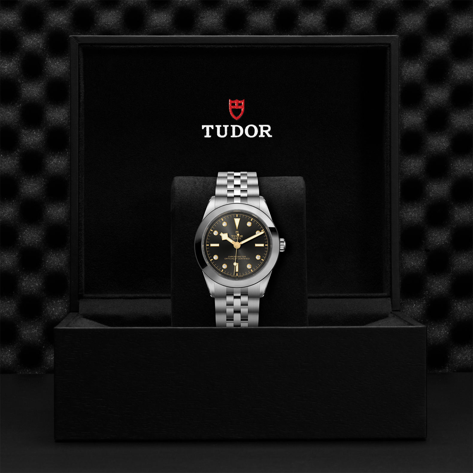 TUDOR Black Bay 31/36/39/41 Watch - M79660-0004 at Bachendorf's Jewelers