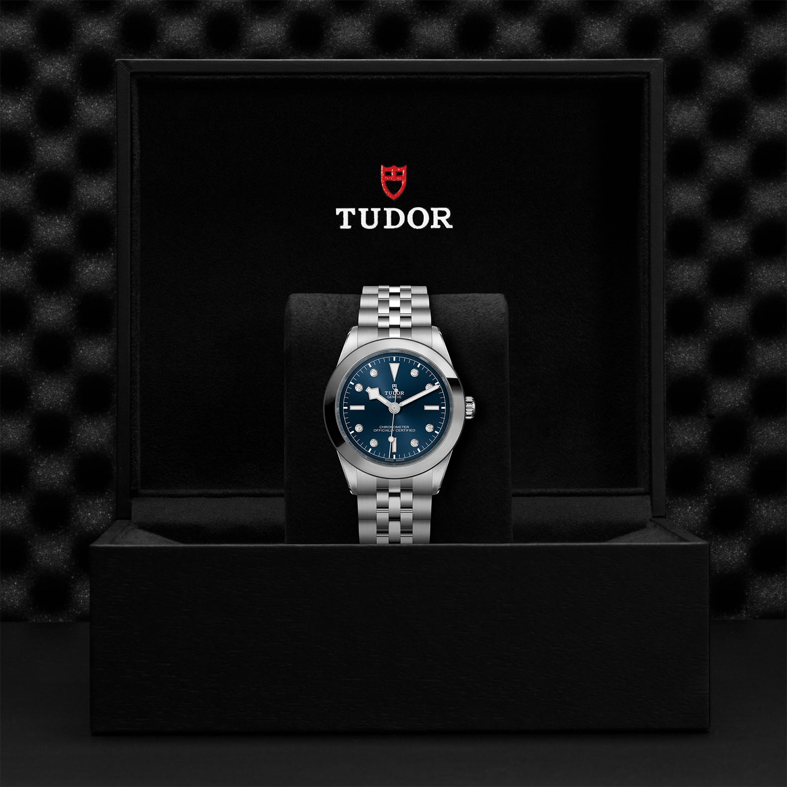 TUDOR Black Bay 31/36/39/41 Watch - M79660-0005 at Bachendorf's Jewelers