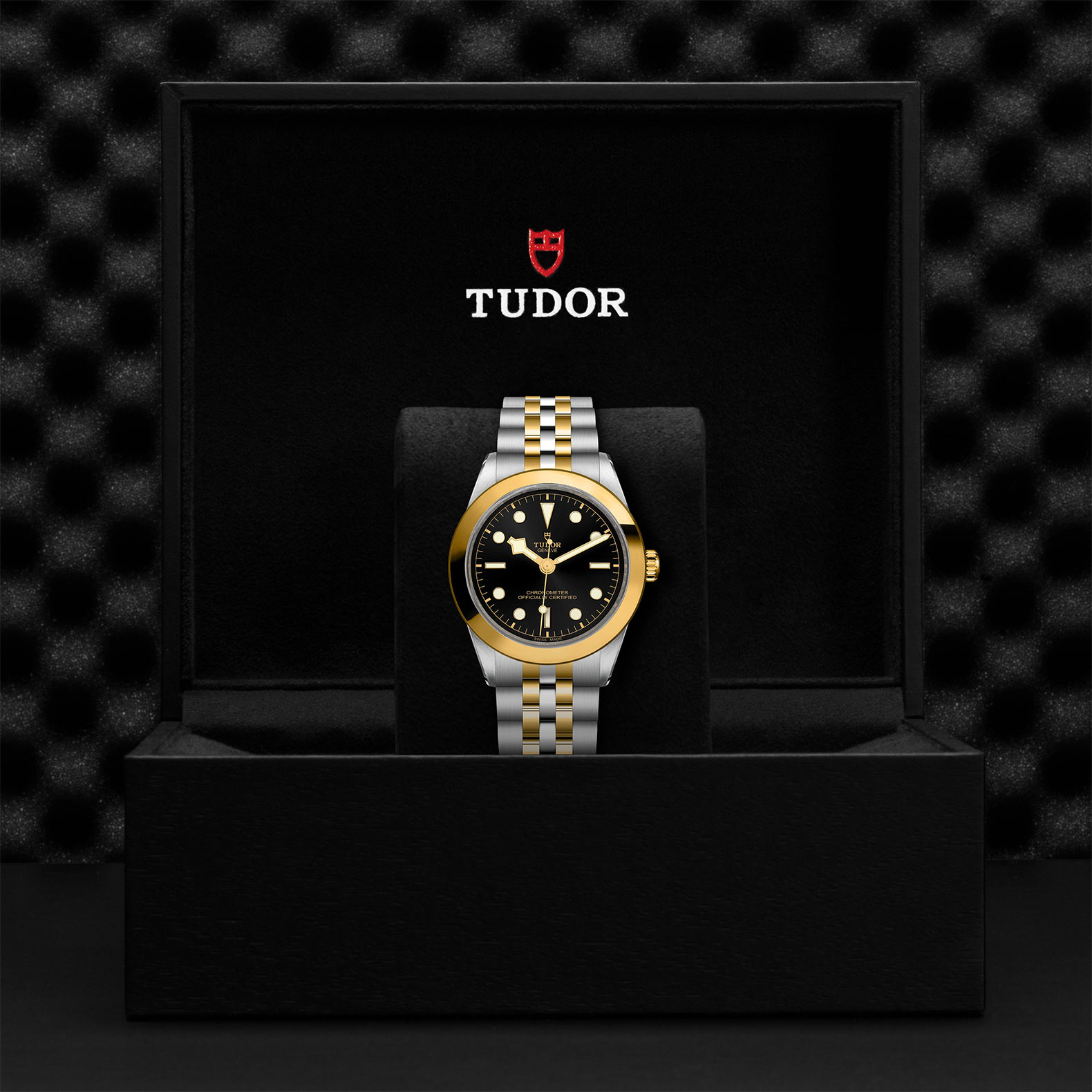 TUDOR Black Bay 31/36/39/41 S&G Watch - M79663-0001 at Bachendorf's Jewelers
