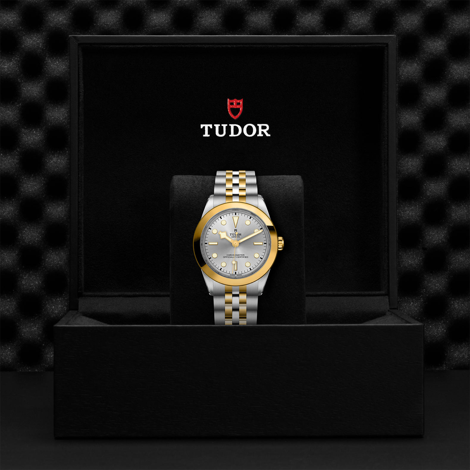 TUDOR Black Bay 31/36/39/41 S&G Watch - M79663-0002 at Bachendorf's Jewelers