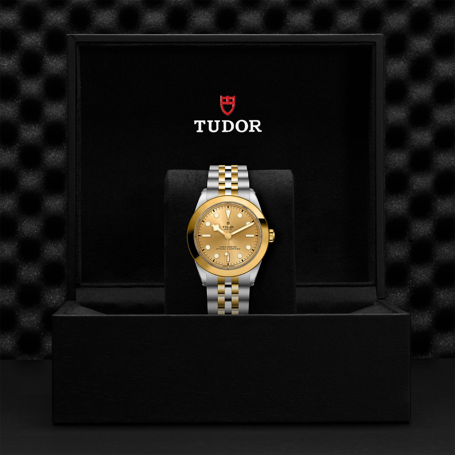 TUDOR Black Bay 31/36/39/41 S&G Watch - M79663-0005 at Bachendorf's Jewelers