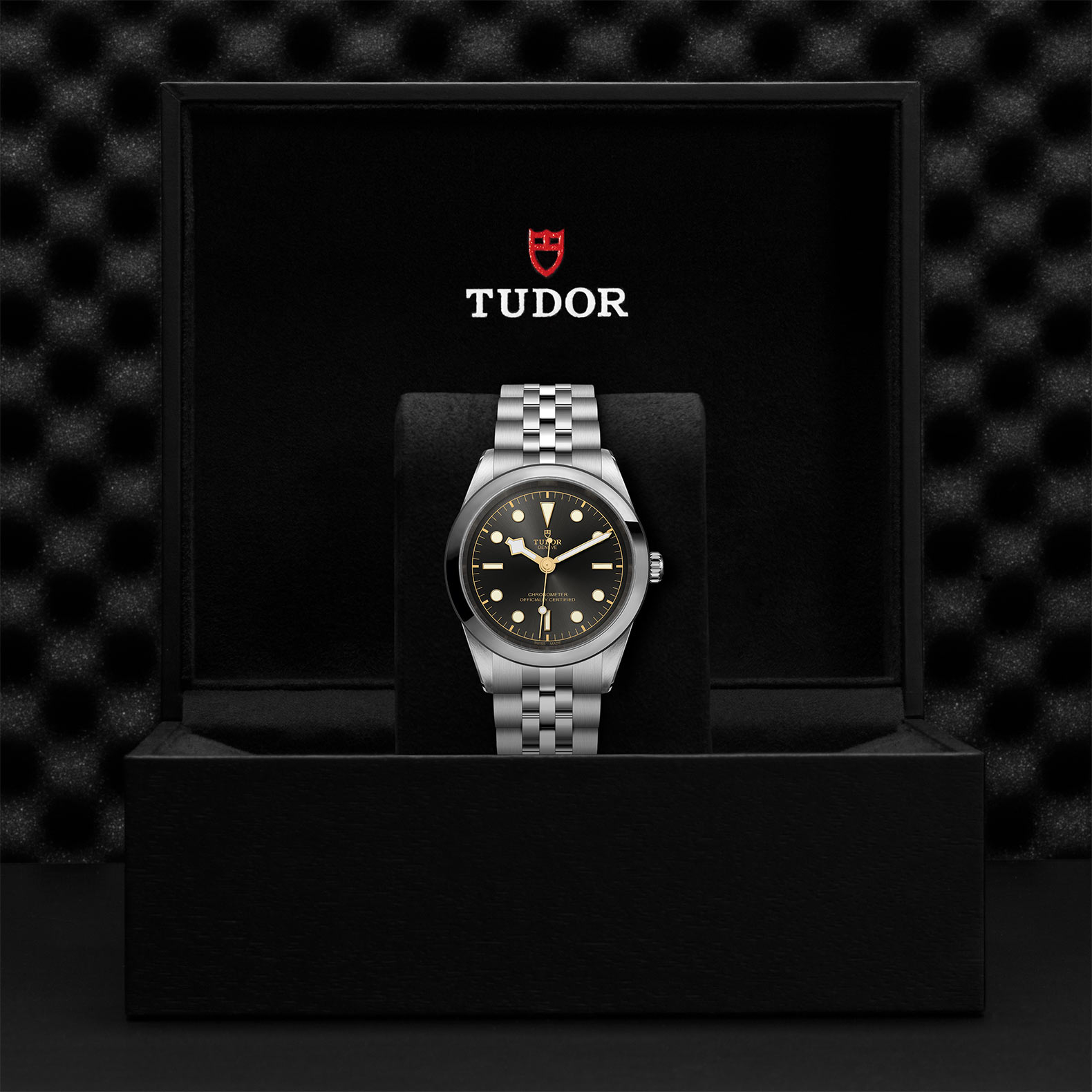 TUDOR Black Bay 31/36/39/41 Watch - M79680-0001 at Bachendorf's Jewelers