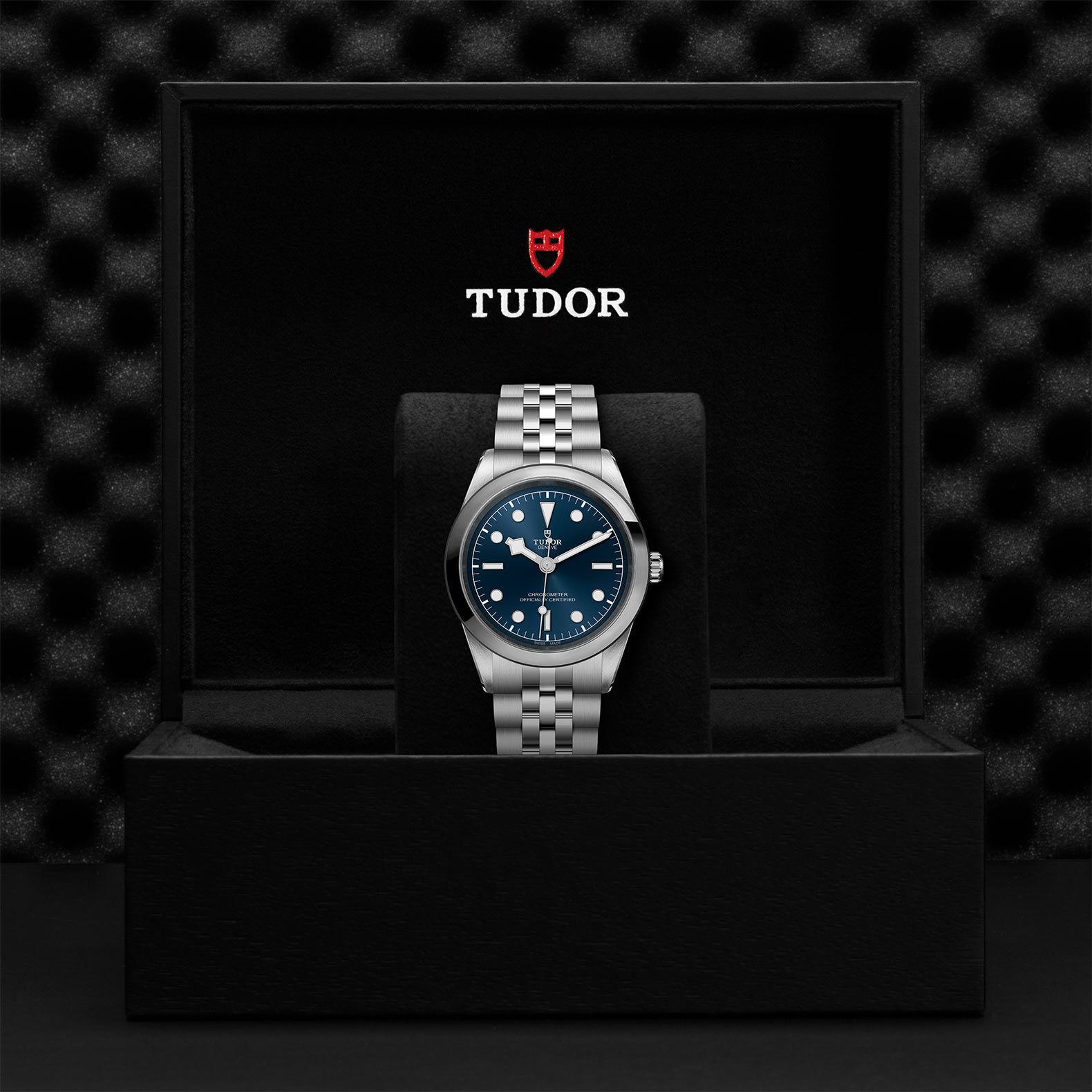 TUDOR Black Bay 31/36/39/41 Watch - M79680-0002 at Bachendorf's Jewelers