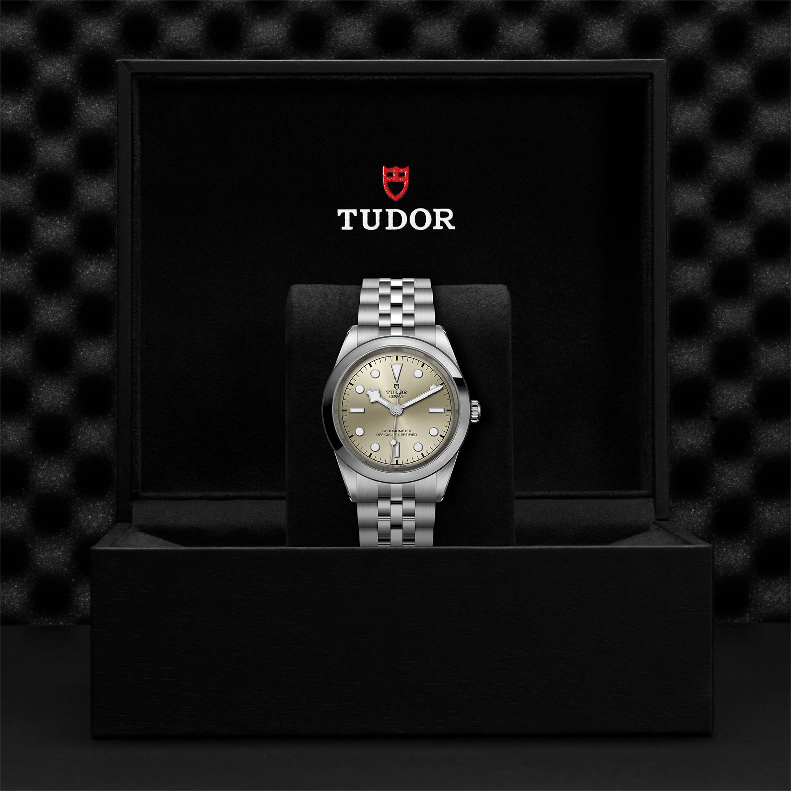 TUDOR Black Bay 31/36/39/41 Watch - M79680-0003 at Bachendorf's Jewelers