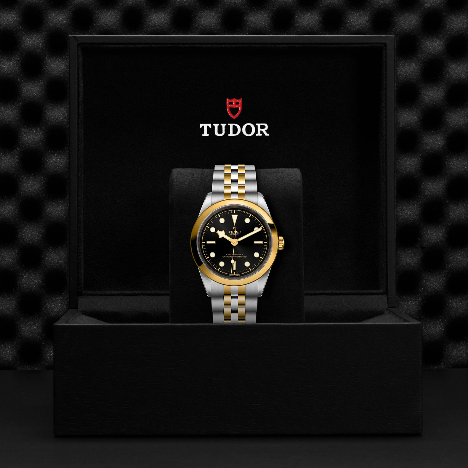TUDOR Black Bay 31/36/39/41 S&G Watch - M79683-0001 at Bachendorf's Jewelers