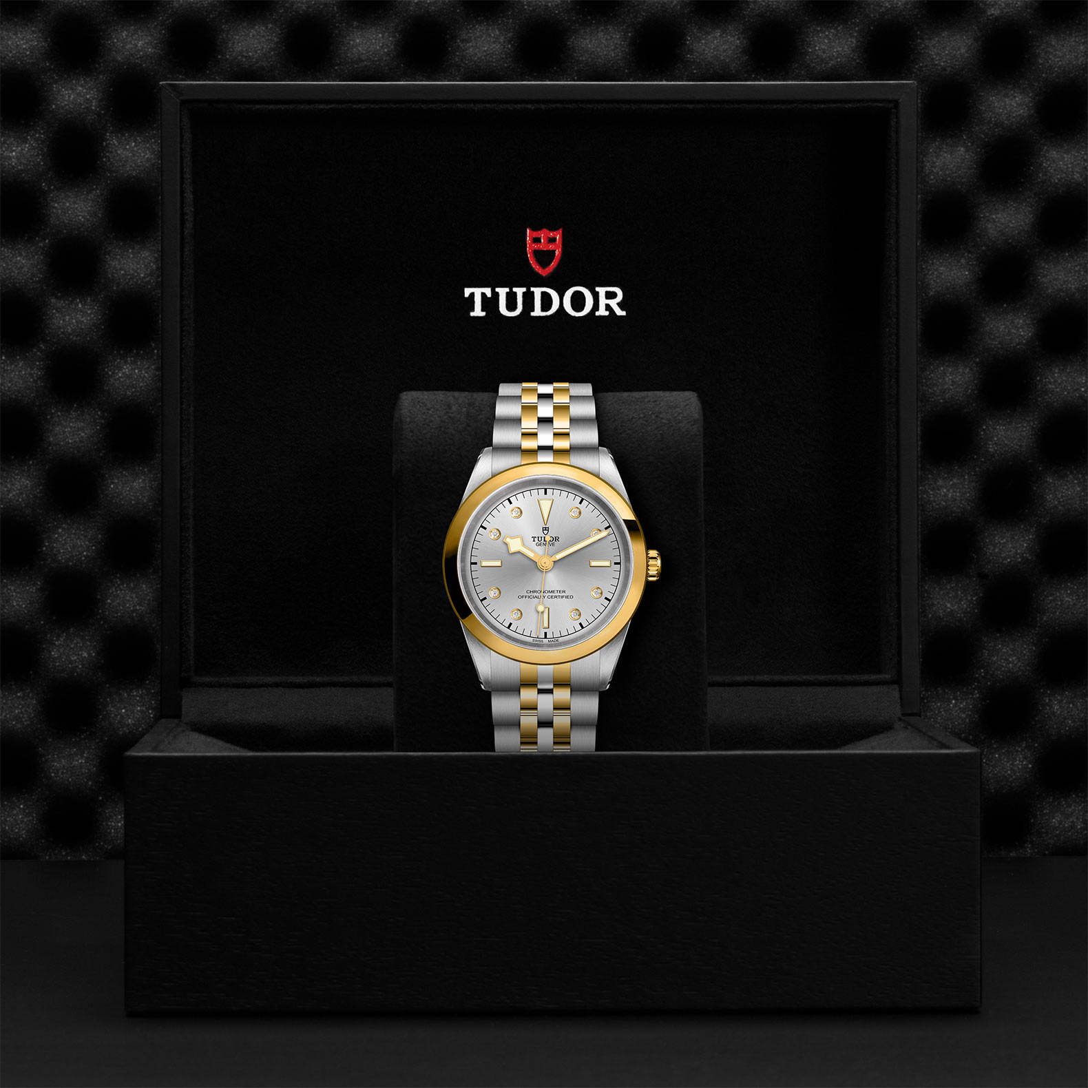 TUDOR Black Bay 31/36/39/41 S&G Watch - M79683-0007 at Bachendorf's Jewelers
