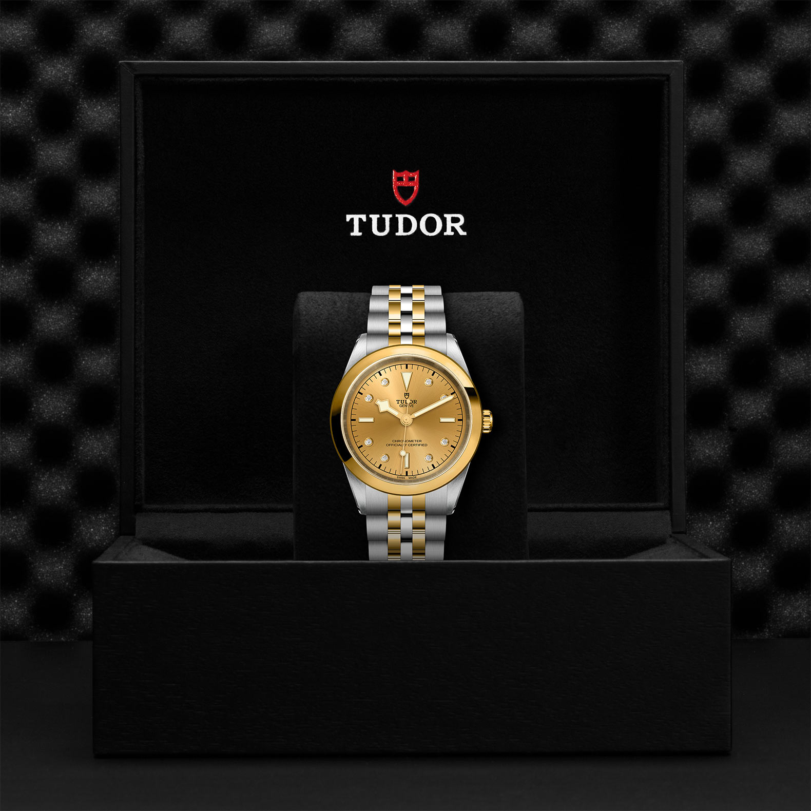 TUDOR Black Bay 31/36/39/41 S&G Watch - M79683-0008 at Bachendorf's Jewelers