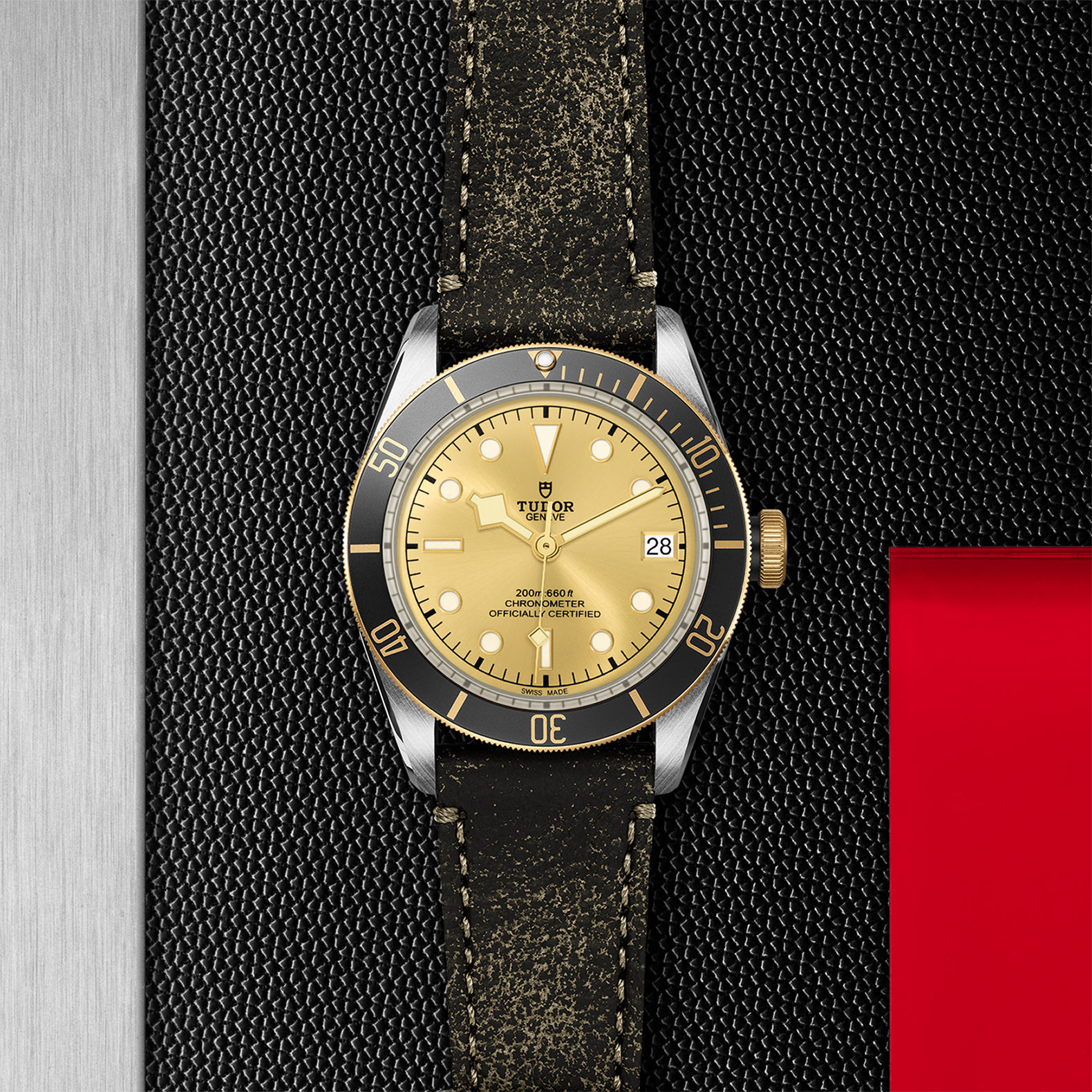 TUDOR Black Bay Watch - M79733N-0003 at Bachendorf's Jewelers